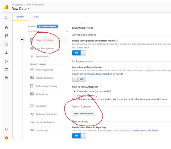 Search Console Property Settings